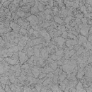 TT2356 Fresco Grandioso